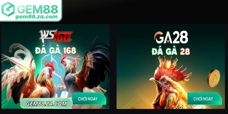 Đá gà GEM88 là nền tảng trực tuyến hấp dẫn và uy tín